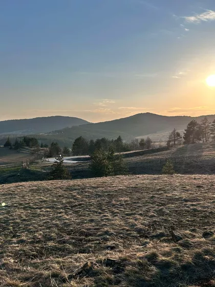 Tometino Polje | 4zida.rs