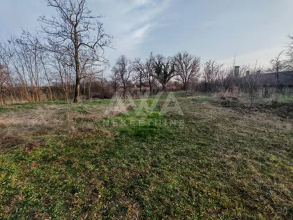 Svetozar Miletić | 4zida.rs