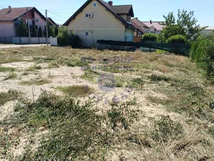 Justina Popovića | 4zida.rs