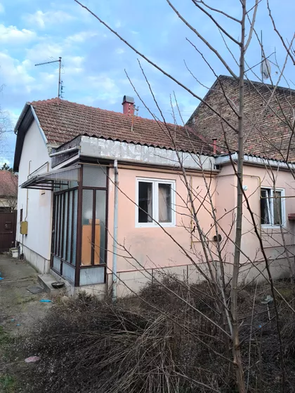 Bogdana Šuputa | 4zida.rs