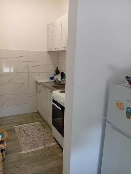 Vite Džajevića | 4zida.rs