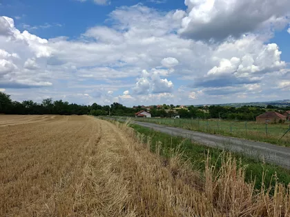 Jovana Cvijića | 4zida.rs