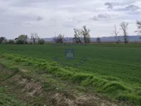 Futog, Okolne lokacije, Novi Sad | 4zida.rs