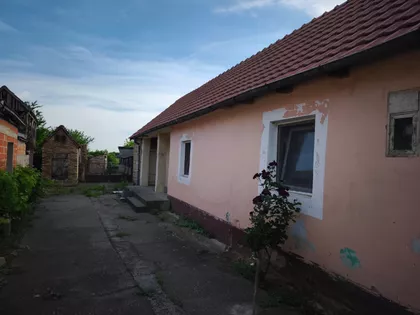 Pašićeva | 4zida.rs