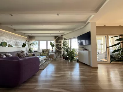 Petrovaradin | 4zida.rs