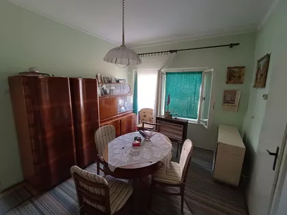 Petra Drapšina | 4zida.rs