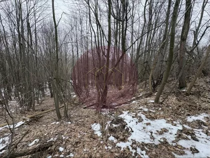 Sopot (mesto) | 4zida.rs