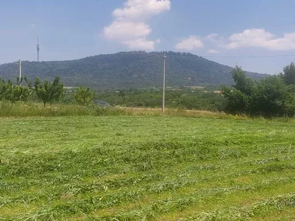 Pinosava | 4zida.rs