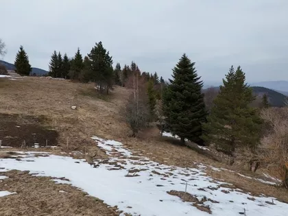 Kamena Gora | 4zida.rs