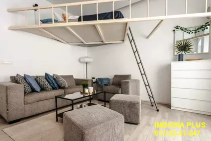 Cara Dušana | 4zida.rs