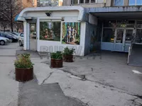 Bulevar Nemanjića, Medijana, Gradske lokacije, Niš | 4zida.rs