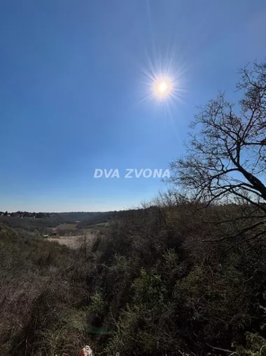 Čortanovci