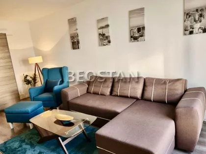 Dr Ivana Ribara | 4zida.rs