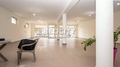 Carice Jelene | 4zida.rs