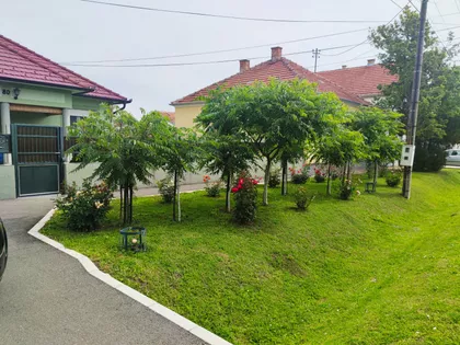 Gradske lokacije | 4zida.rs