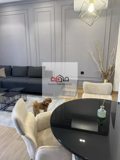 Novi Sad - Centar | 4zida.rs