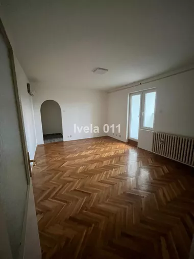 Luja Adamiča