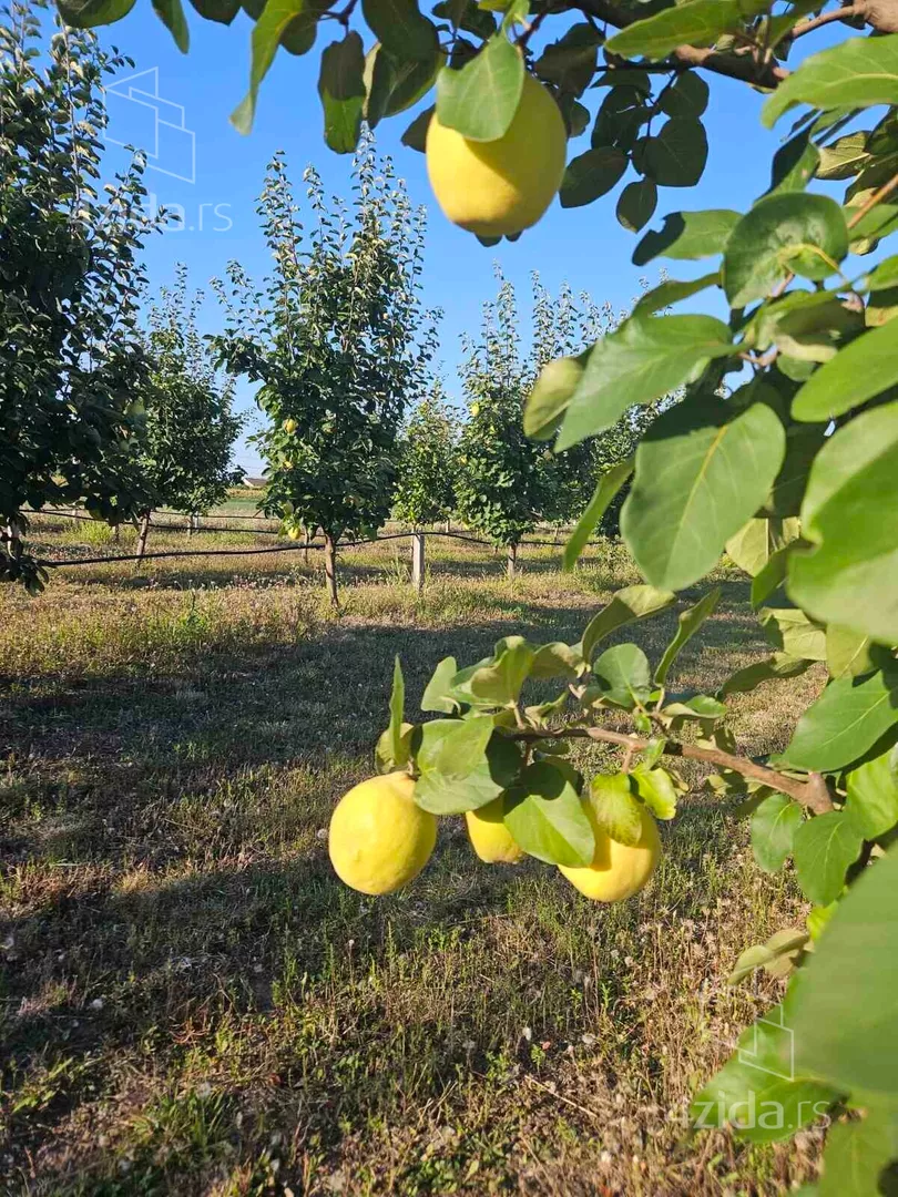 Poljoprivredno zemljište | 4zida