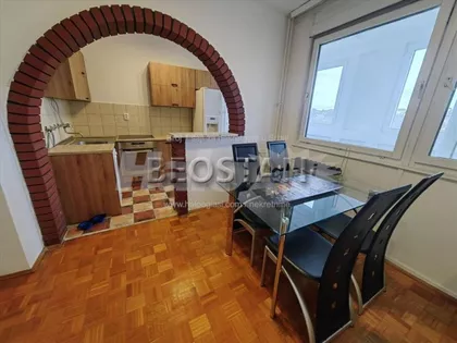 Dr Ivana Ribara | 4zida.rs