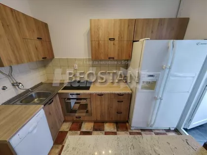 Dr Ivana Ribara | 4zida.rs