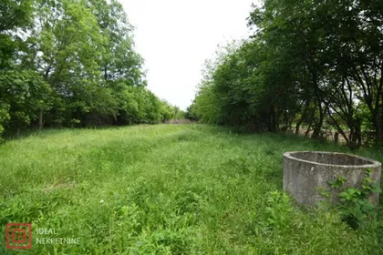 Veliki Borak | 4zida.rs