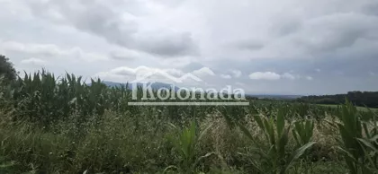 Nemenikuće | 4zida.rs
