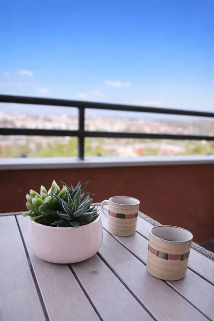 Vojvode Stepe | 4zida.rs