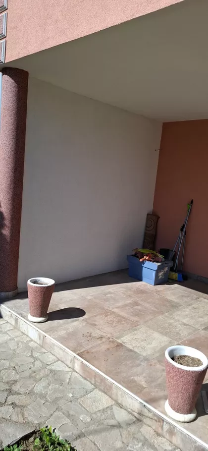 Dragića Pantovića Patka 5 | 4zida.rs