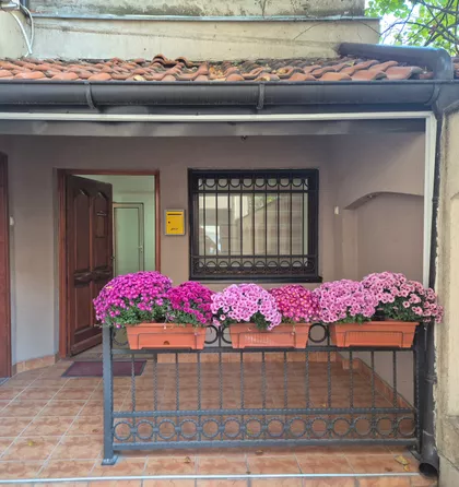 Kneginje Zorke 5 | 4zida.rs