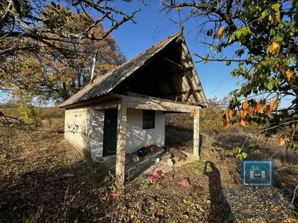 Lozovik | 4zida.rs