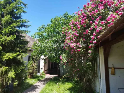 Boljevci | 4zida.rs