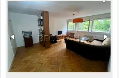 Bulevar Arsenija Čarnojevića