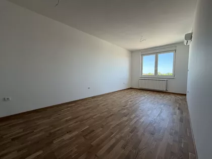 Salajka | 4zida.rs