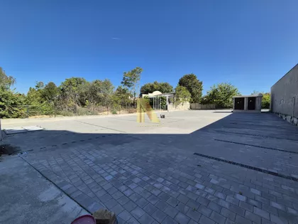 Salajka | 4zida.rs