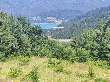 Zaovinsko jezero | 4zida.rs