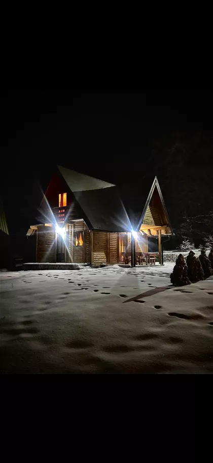 Isidore Sekulić | 4zida.rs