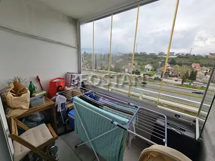 Dr Ivana Ribara | 4zida.rs