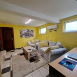 Novi Sad, Gradske lokacije, Adamovićevo Naselje, Cara Dušana | 4zida.rs | 4zida.rs