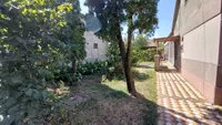 Zrenjanin, Gradske lokacije, Bagljaš | 4zida.rs | 4zida.rs