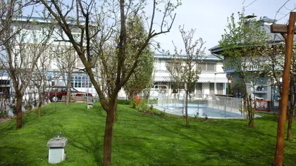 Starine Novaka 8 | 4zida.rs