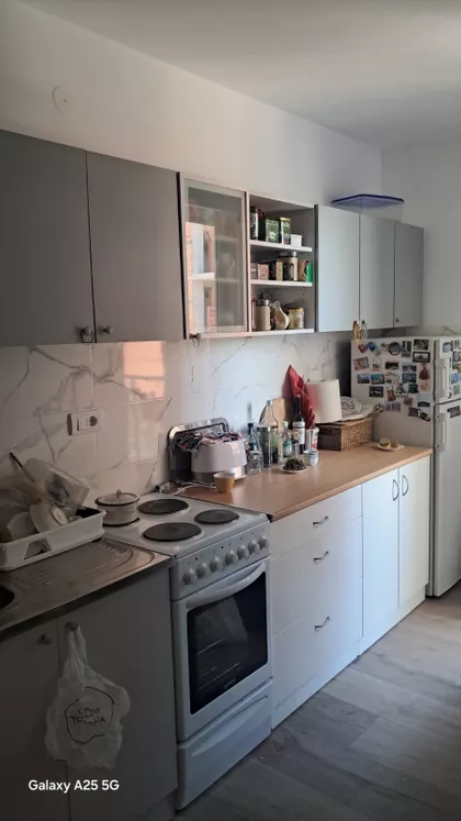 Žarka Vasiljevića | 4zida.rs