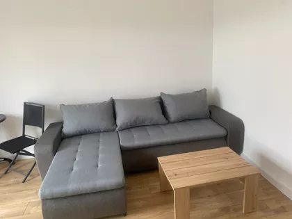 Vase Ostojića | 4zida.rs