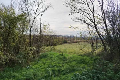 Lazara Jankovića | 4zida.rs