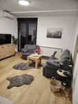 Nova Detelinara, Detelinara, Gradske lokacije, Novi Sad | 4zida.rs | 4zida.rs