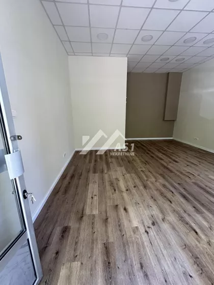 Dr Svetislava Kasapinovića | 4zida.rs