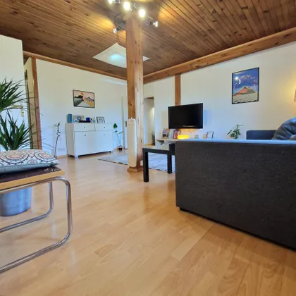 Milutina Bojica | 4zida.rs