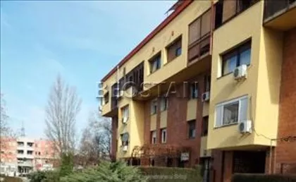 Danila Lekica Spanca | 4zida.rs