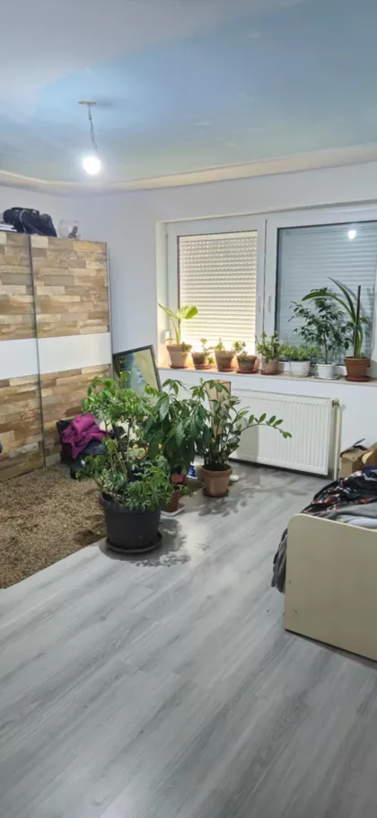 Srpski Šor | 4zida.rs