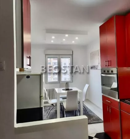 Dr Ivana Ribara | 4zida.rs