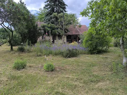 Palić | 4zida.rs